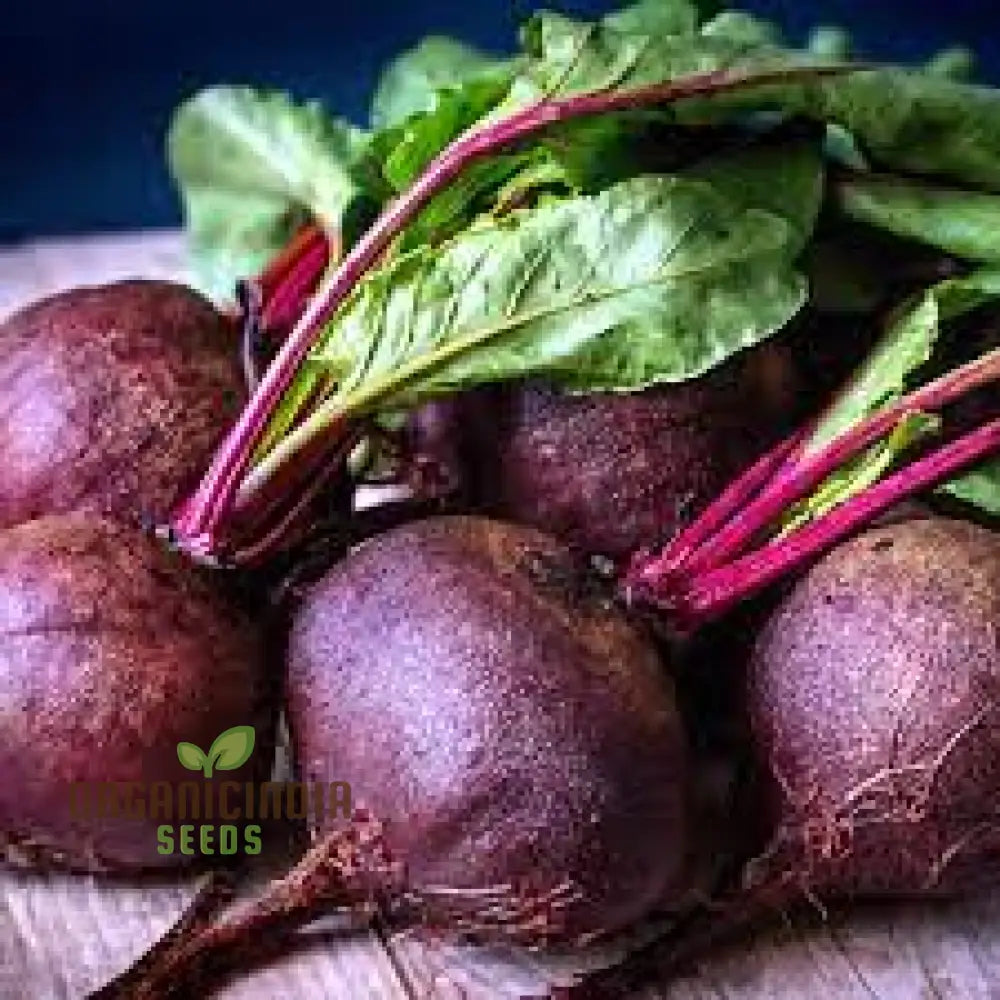 Beetroot Pablo F1 Seeds - Premium Quality Gardening For Your Garden