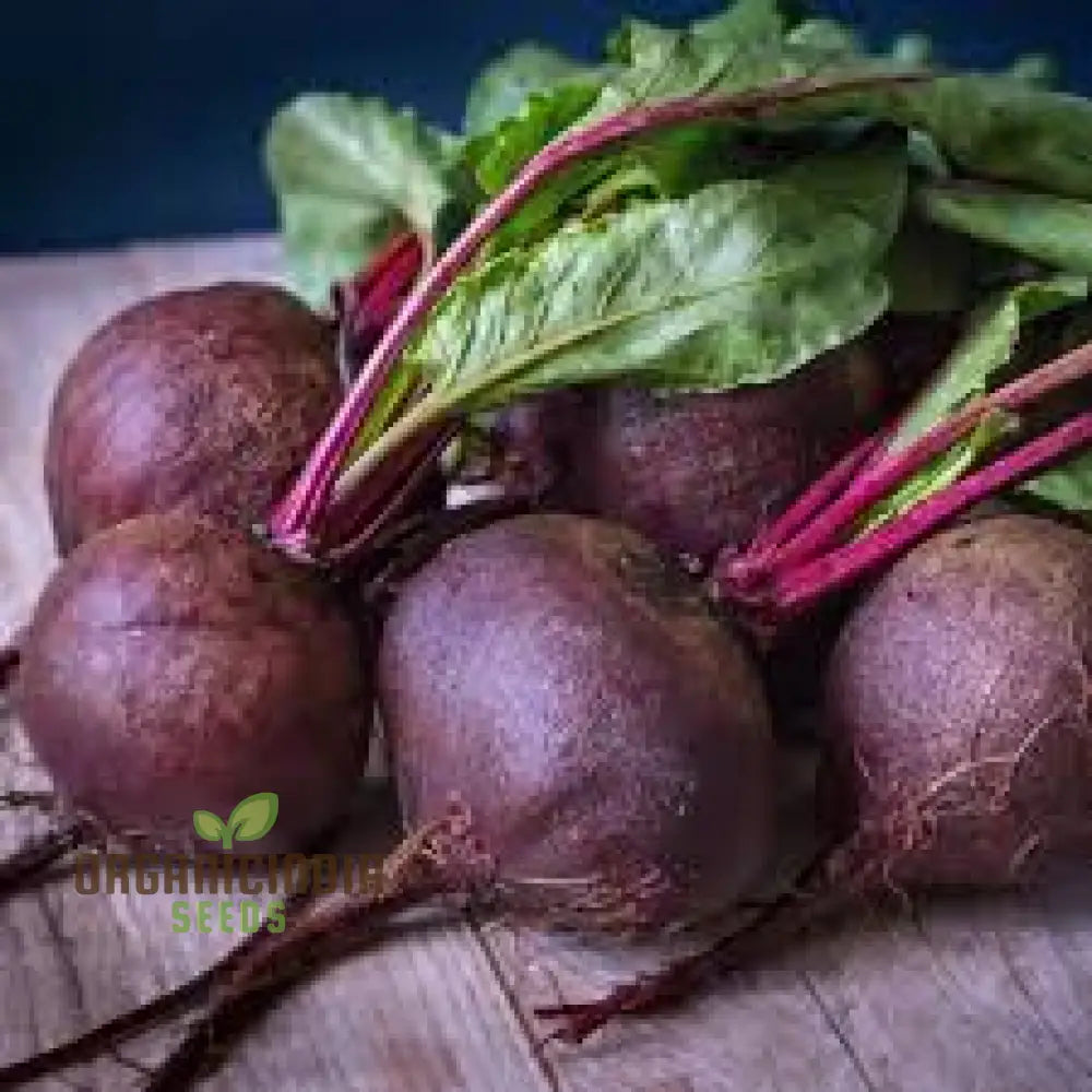 Beetroot Pablo F1 Seeds - Premium Quality Gardening For Your Garden