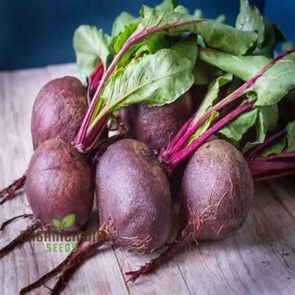 Beetroot Vegetable Seeds Grow Your Own Vibrant And Nutritious Root Vegetables