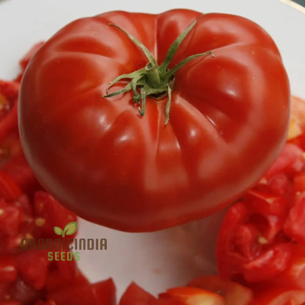 Big Beef Tomato Seeds - Premium Quality For Gardening And Planting