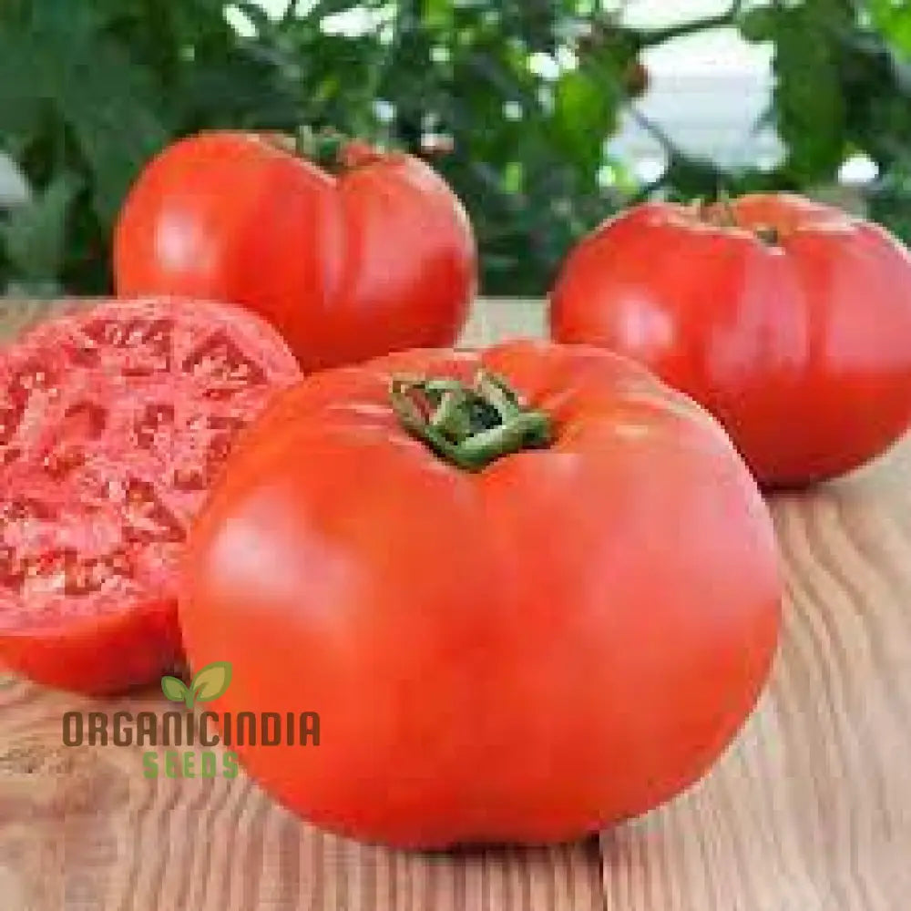 Big Beef Tomato Seeds - Premium Quality For Gardening And Planting