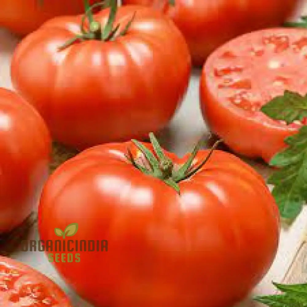 Big Beef Tomato Seeds - Premium Quality For Gardening And Planting