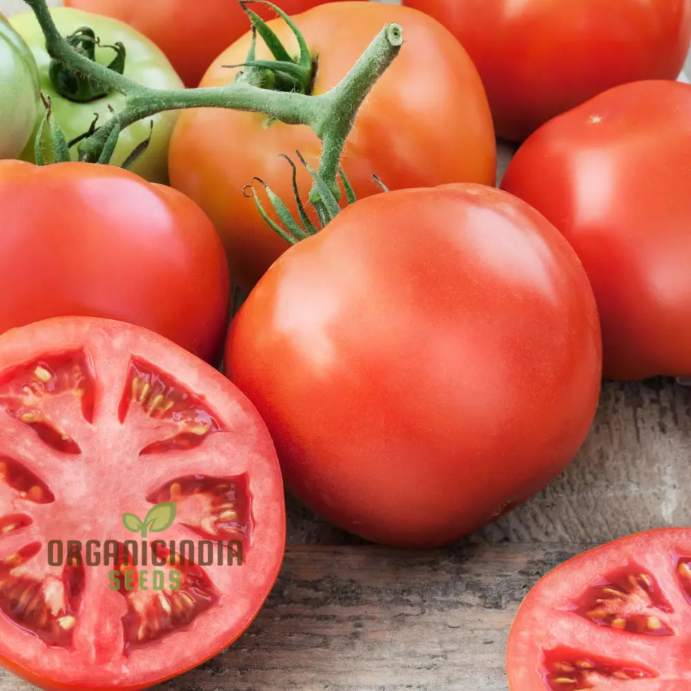 Big Beef Tomato Seeds - Premium Quality For Gardening And Planting