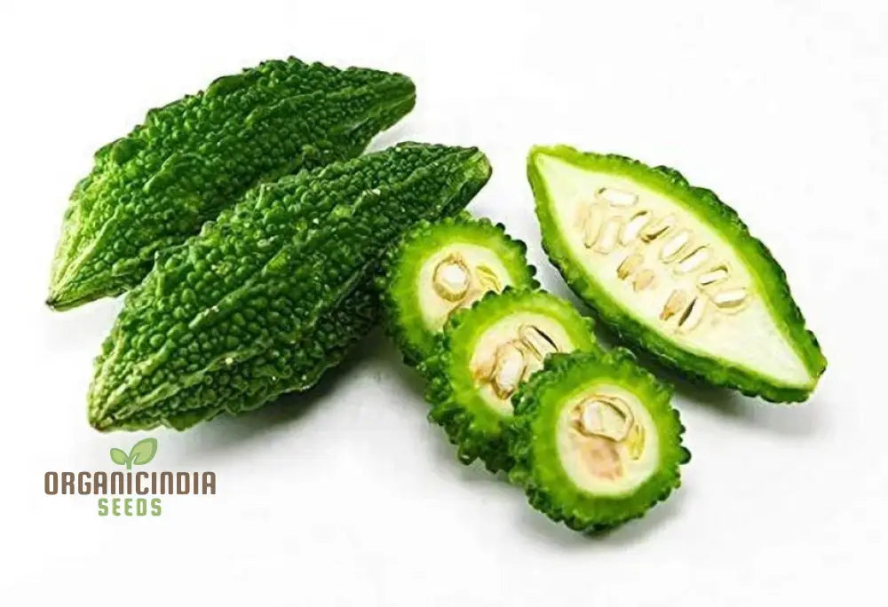 Bitter Melon Jounpuri Seeds - Premium Quality For Your Garden | Buy Online