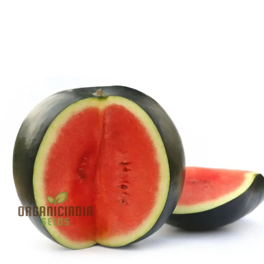 Black-Hybrid Watermelon Seeds: Ideal For Gardening Enthusiasts Looking Quality Seeds