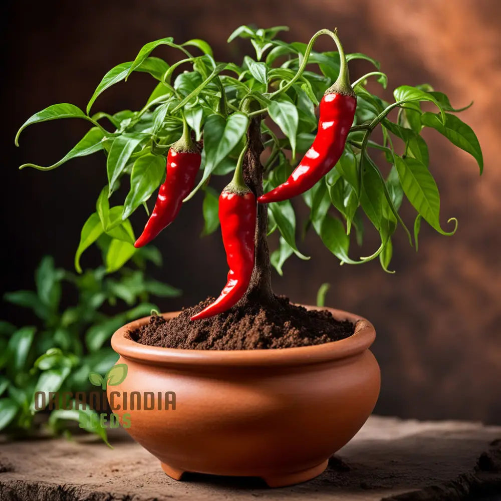 Bonsai Chilli Vegetable Seeds Trinidad Moraga Scorpion Worlds Hottest Planting Nightshades