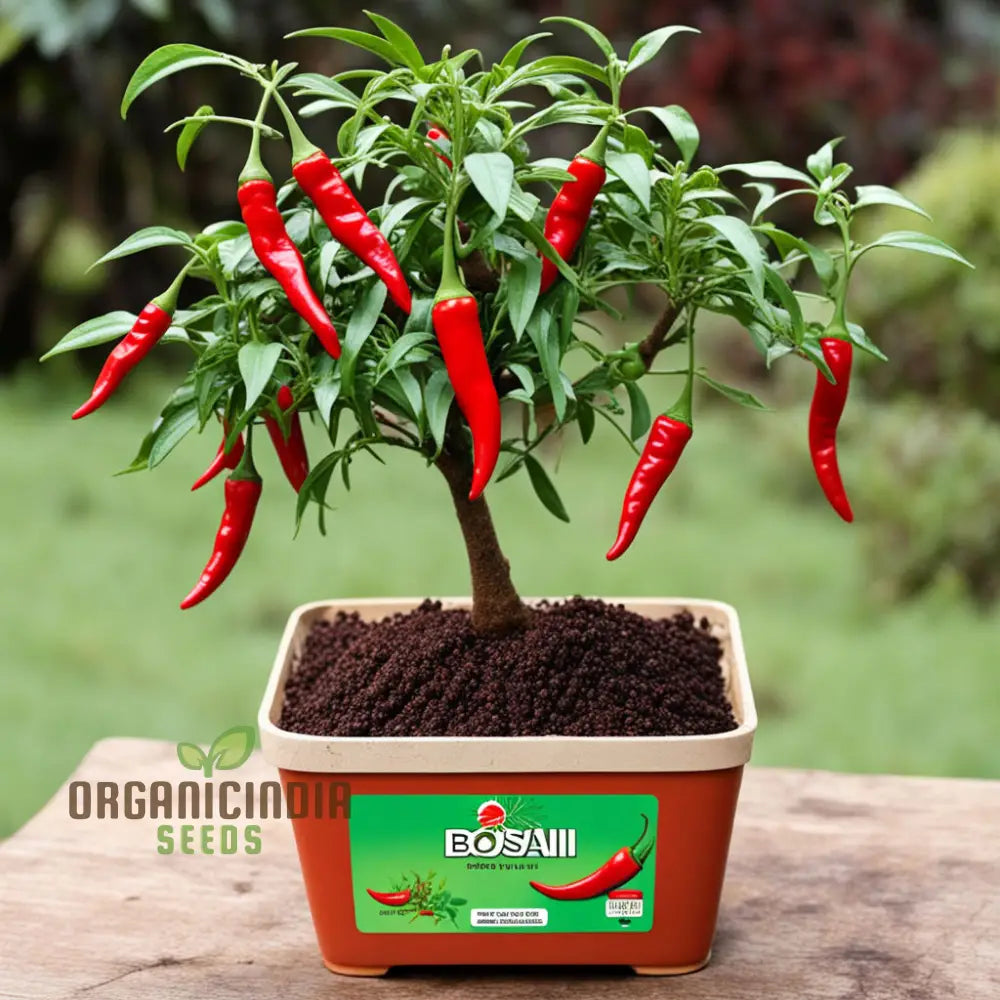 Bonsai Chilli Vegetable Seeds Trinidad Moraga Scorpion Worlds Hottest Planting Nightshades