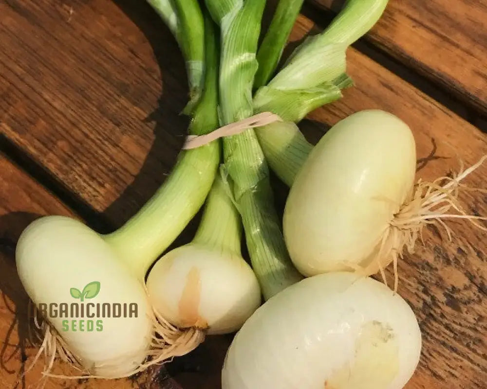 Boretana Onion Seeds For Your Bountiful Garden | Gardening Essentials