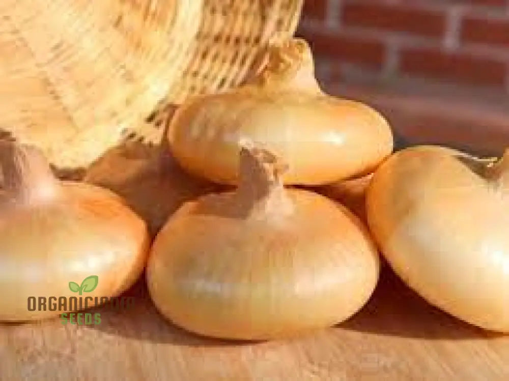 Boretana Onion Seeds For Your Bountiful Garden | Gardening Essentials