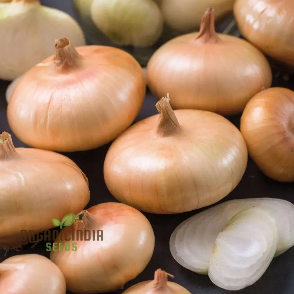 Boretana Onion Seeds For Your Bountiful Garden | Gardening Essentials