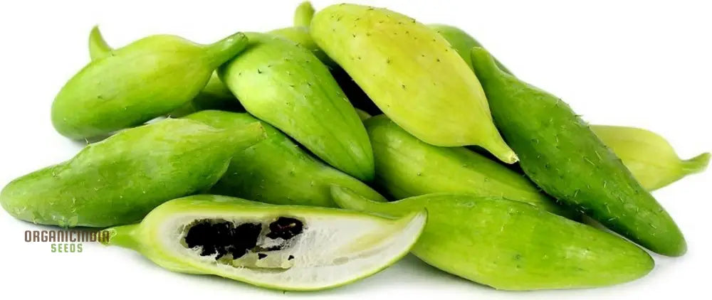 Caligula Seeds Cyclanthera Pedate Inca Cucumber Plant Seeds (100Pcs)