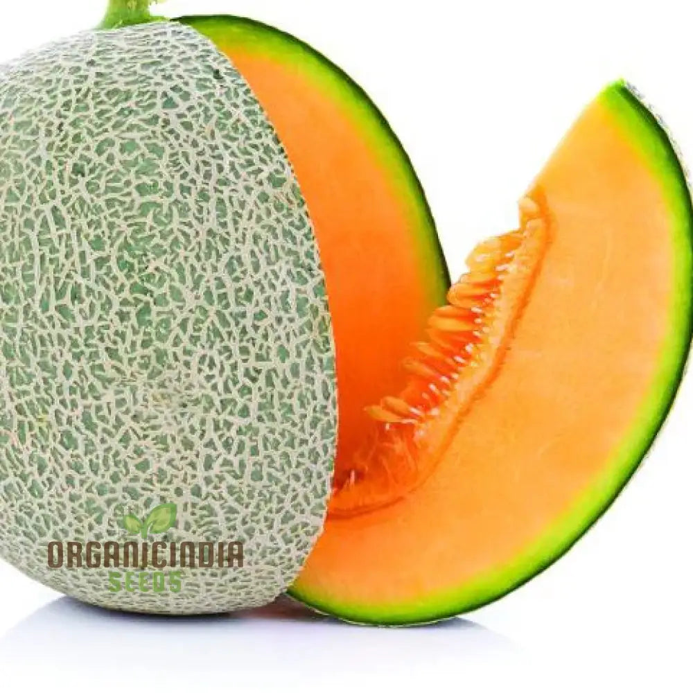 Cantaloupe Melon Seeds For Vibrant Gardening Success