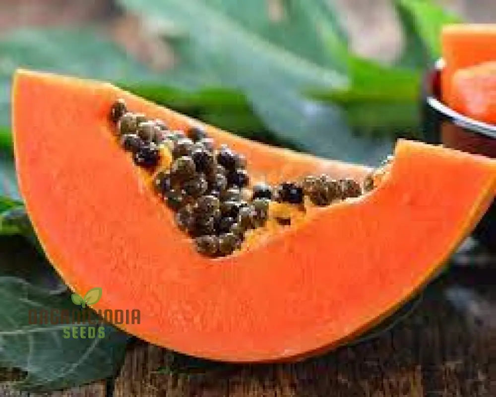 Carica Papaya Seeds For Gardening | Premium Quality Online