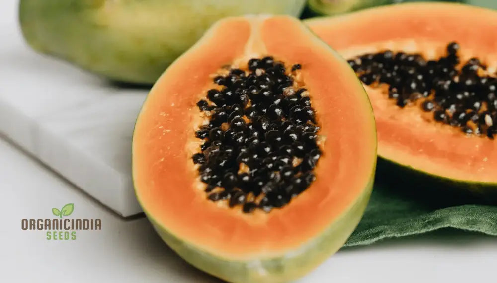 Carica Papaya Seeds For Gardening | Premium Quality Online