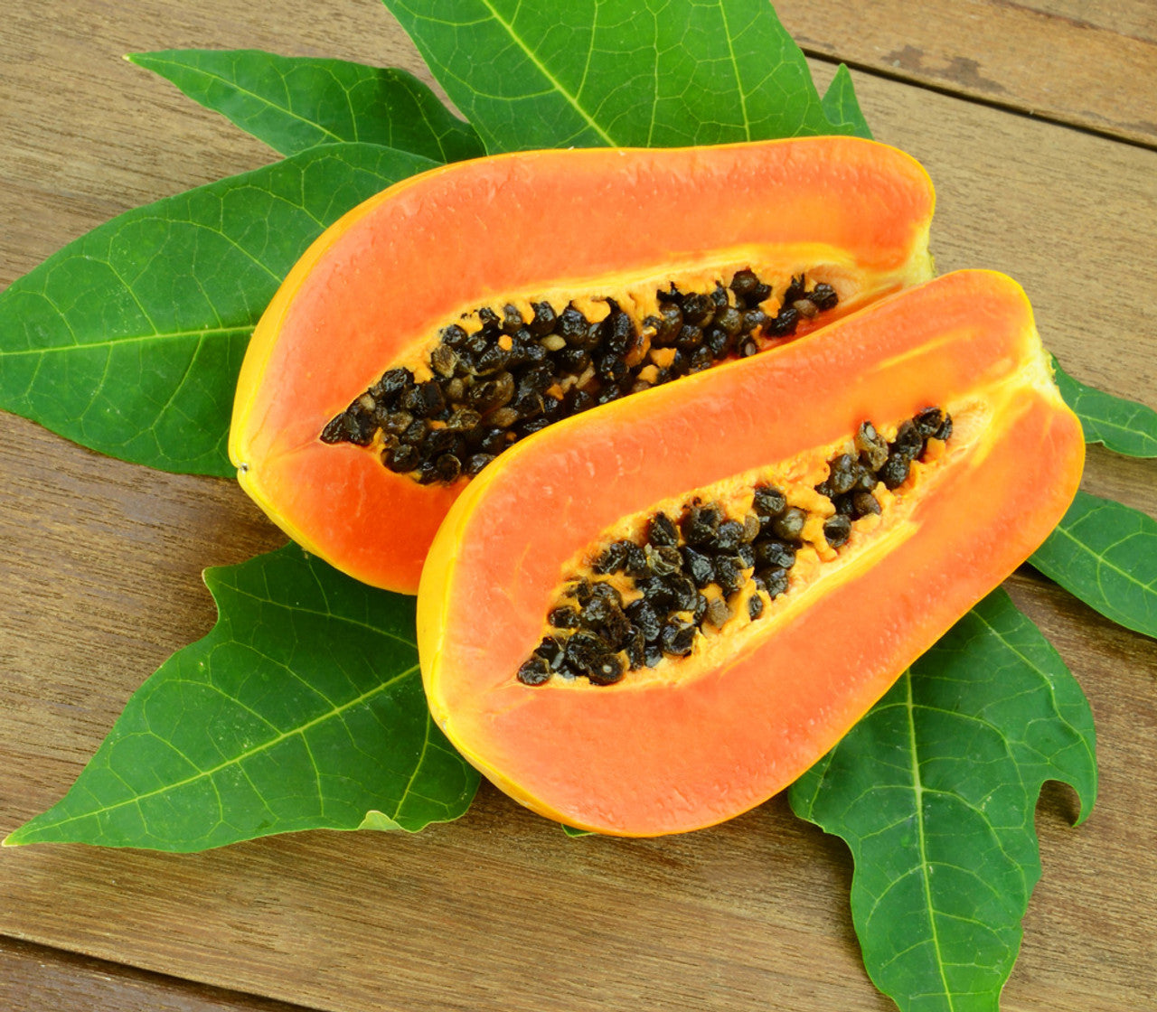 Caribbean Red Papaya Seeds for Planting – Sweet & Juicy Tropical Fruit