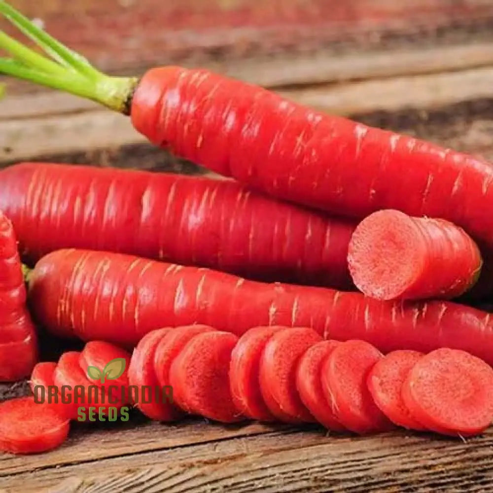 Carrot Seeds - Atomic Red For Planting & Gardening | Premium Quality