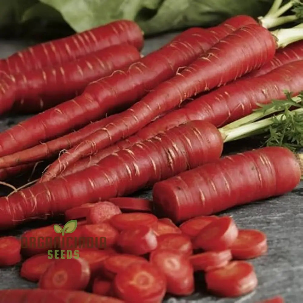 Carrot Seeds - Atomic Red For Planting & Gardening | Premium Quality