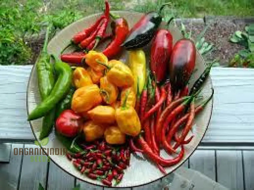 Chilli - Heirloom Mix Seeds | Premium Quality For Planting & Gardening Buy Organic Online