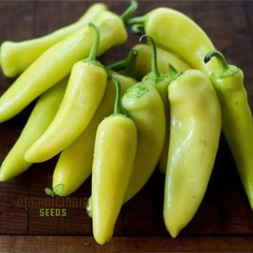 Chilli - Hungarian Yellow Wax Hot Seeds For Planting Gardening Premium Quality