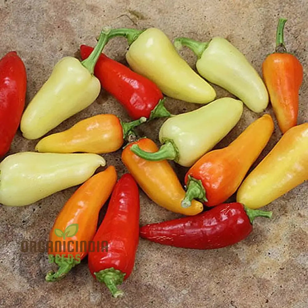 Chilli - Santa Fe Grande Seeds For Planting And Gardening | Organic Seed Collection