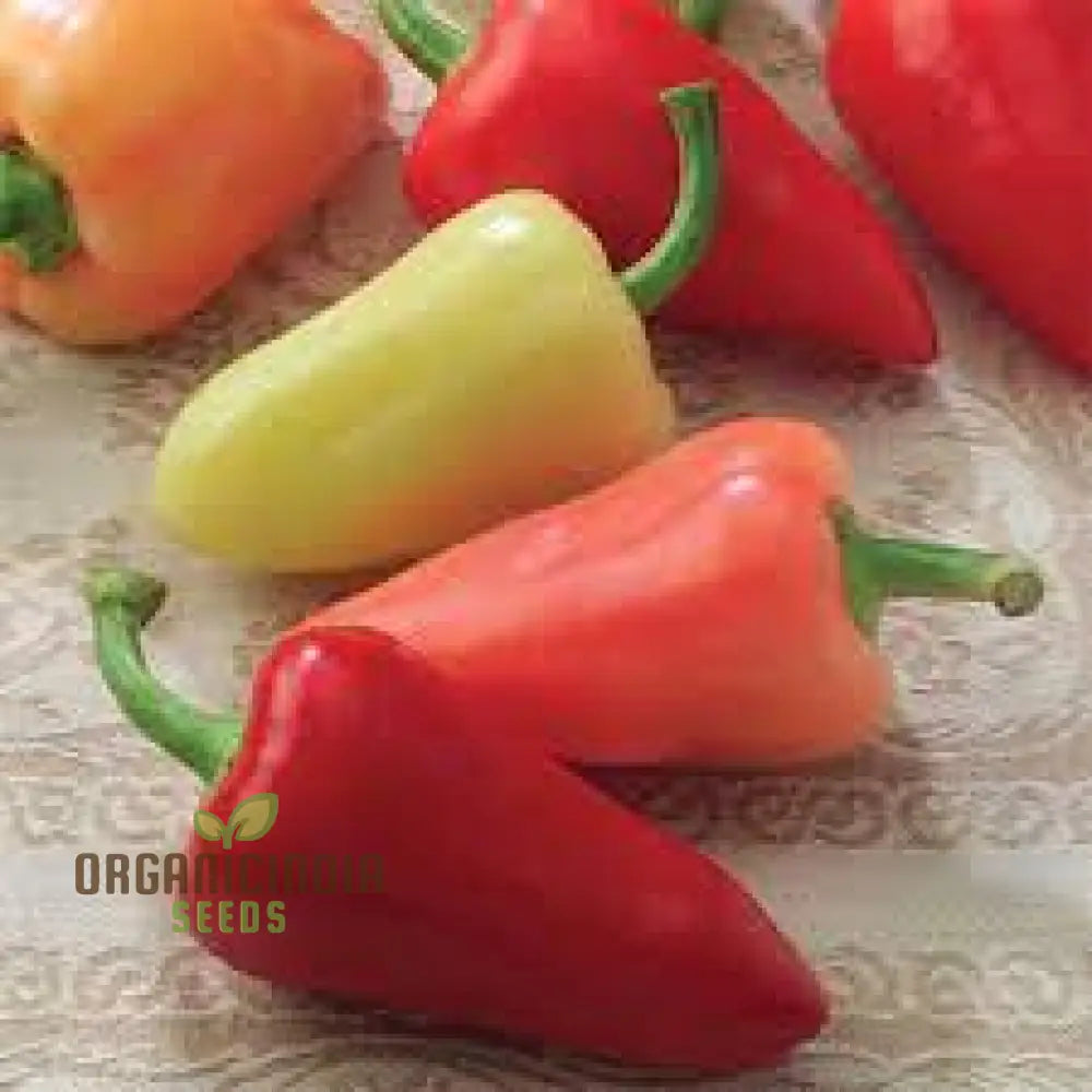 Chilli - Santa Fe Grande Seeds For Planting And Gardening | Organic Seed Collection