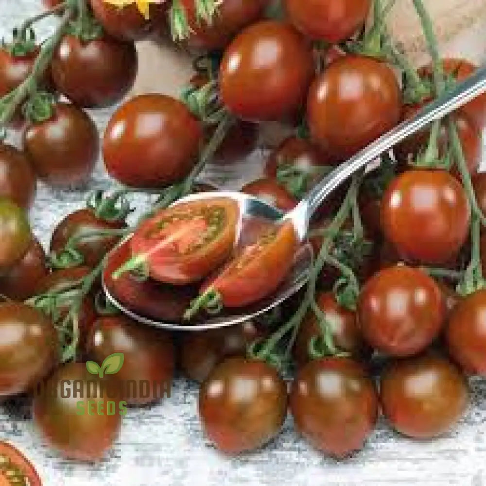 Chocolate Sprinkles Tomato Seeds - Premium Quality Flowers For Planting