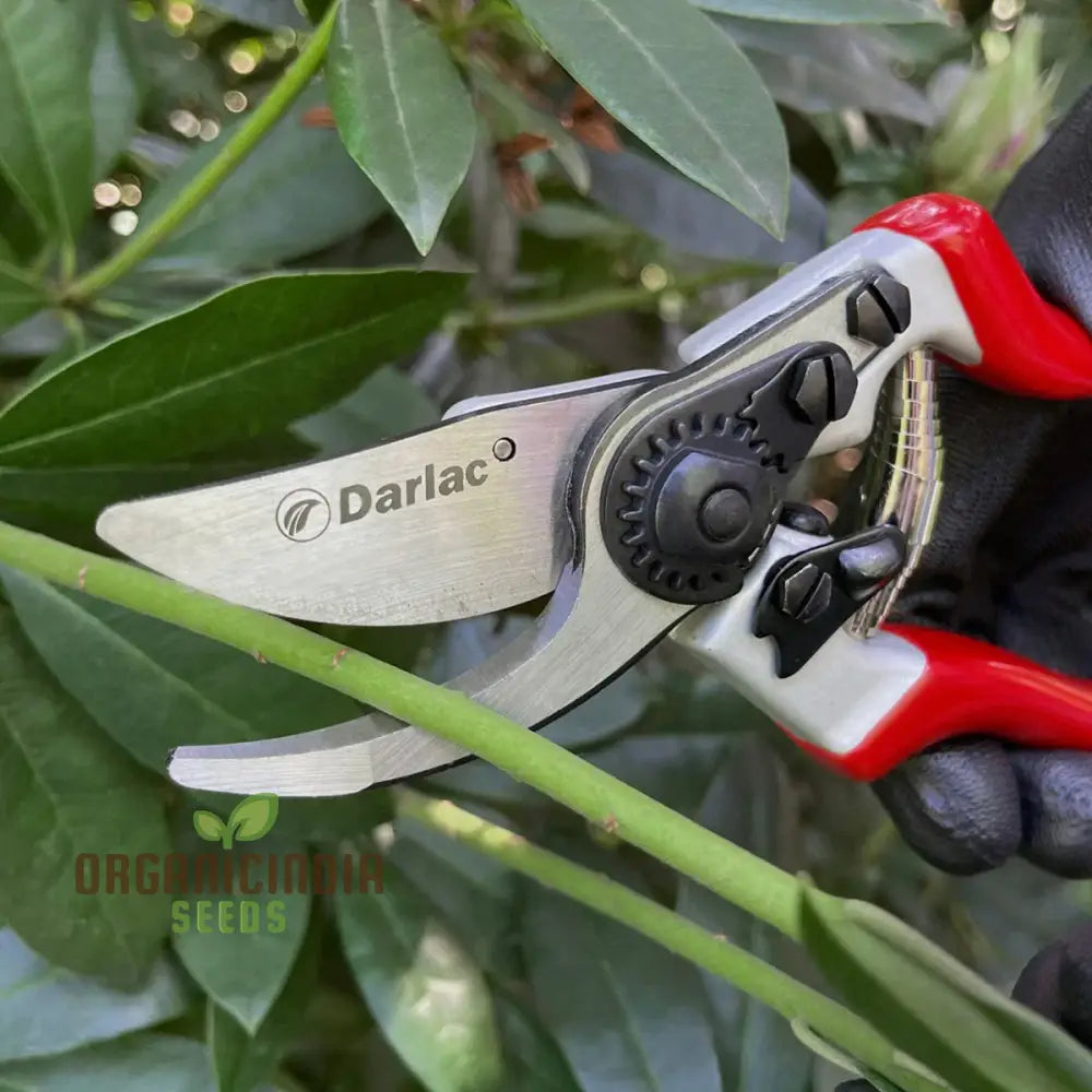 Classicpro 8.5’’ Premium Titanium Bypass Pruning Shears - Professional Heavy Duty Handheld