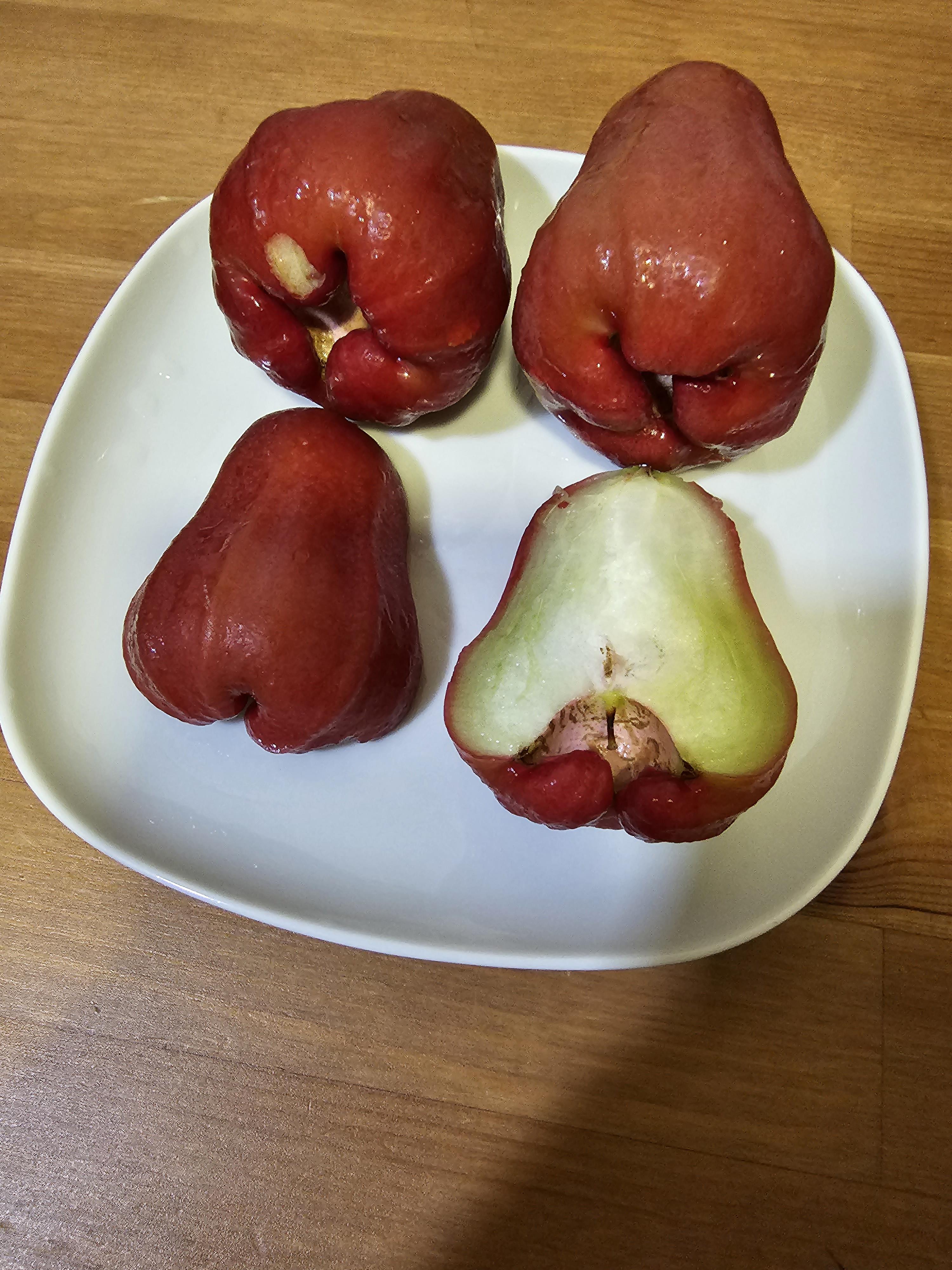 Rose Apple Seeds for Planting - 100 pcs - Fruit Seeds