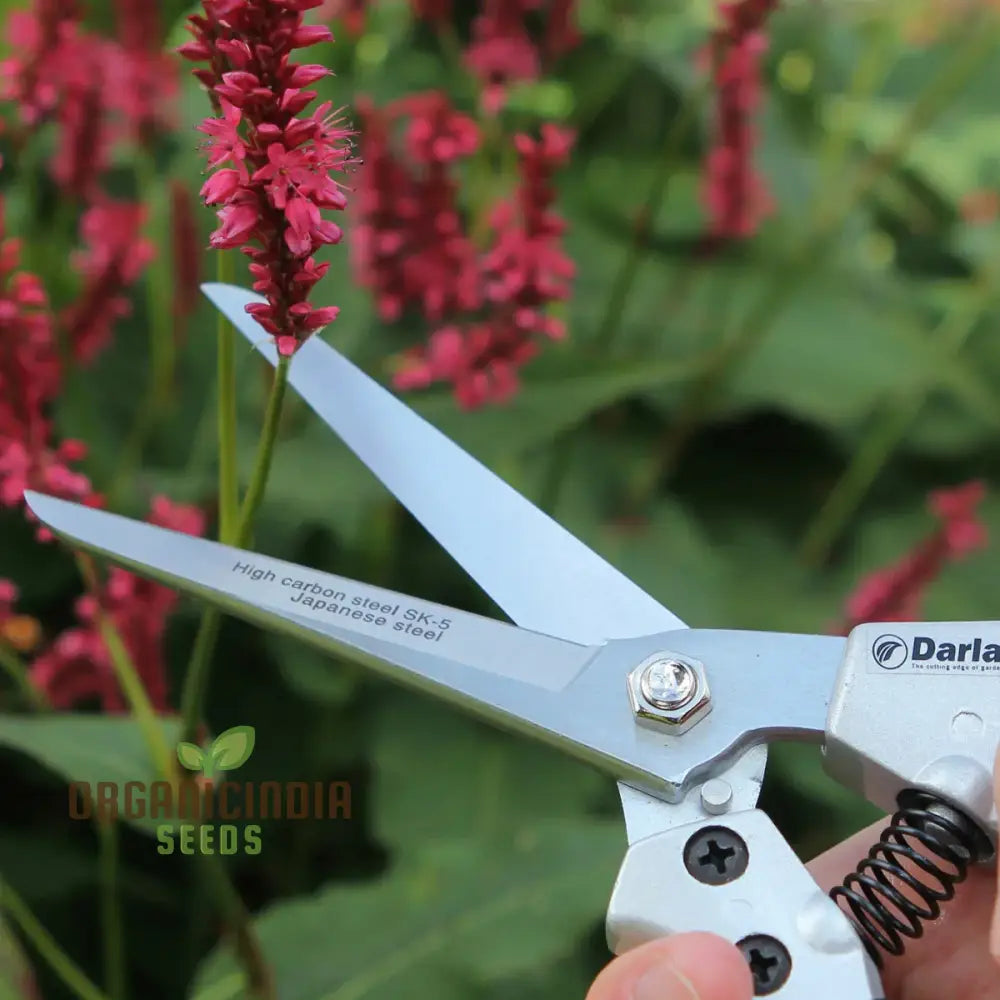 Compact Pruner Bypass Secateurs 16Mm By Organicindiaseeds Gardening Pruners