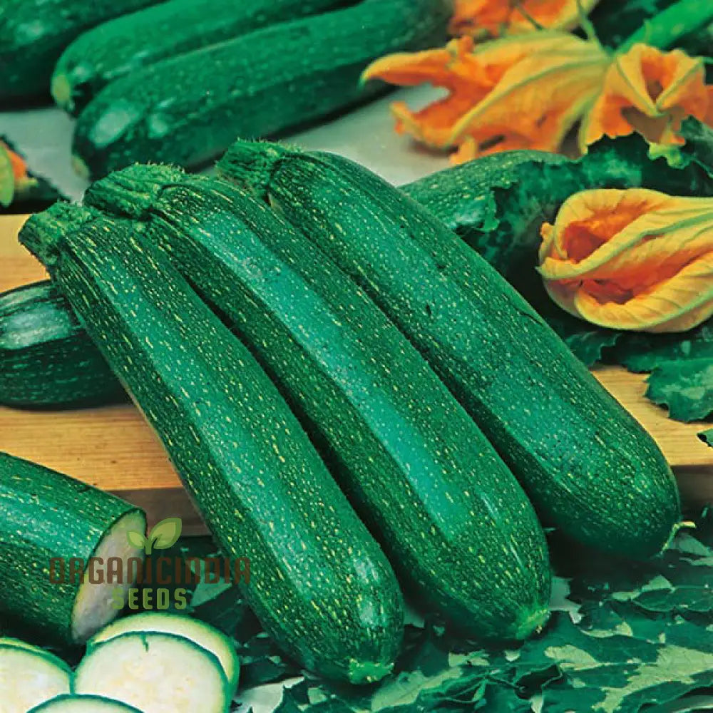 Courgette Black Forest F1 Seeds For Gardening - Premium Quality Thriving Gardens