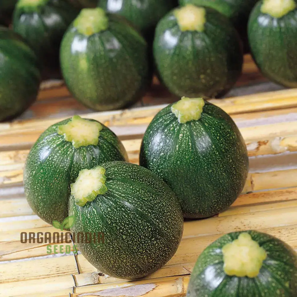 Courgette Eight Ball F1 Seeds - Premium Gardening For Your Garden Quality And Freshness Guaranteed