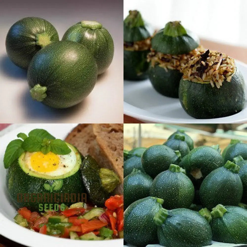 Courgette Eight Ball F1 Seeds - Premium Gardening For Your Garden Quality And Freshness Guaranteed