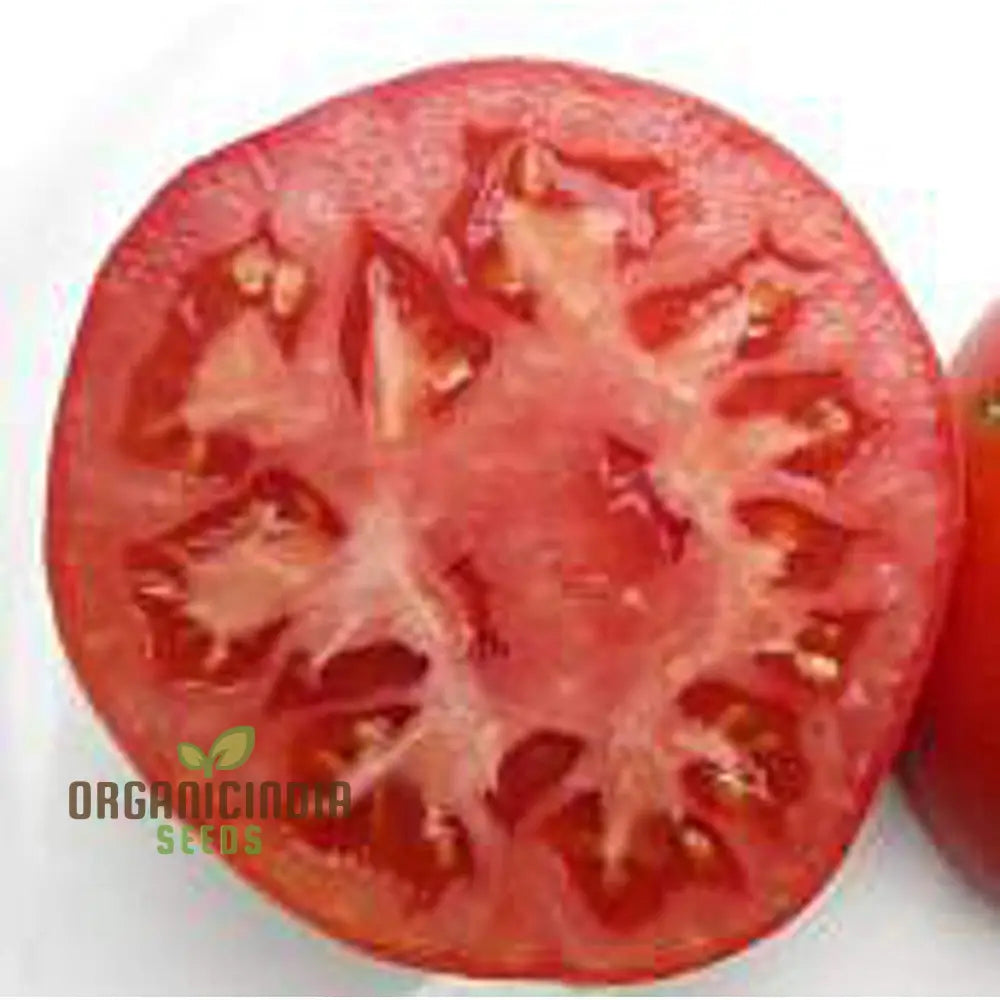 Coustralee Tomato Seeds For Planting | 100 Pcs Heirloom Variety Ideal Home Gardening Juicy And