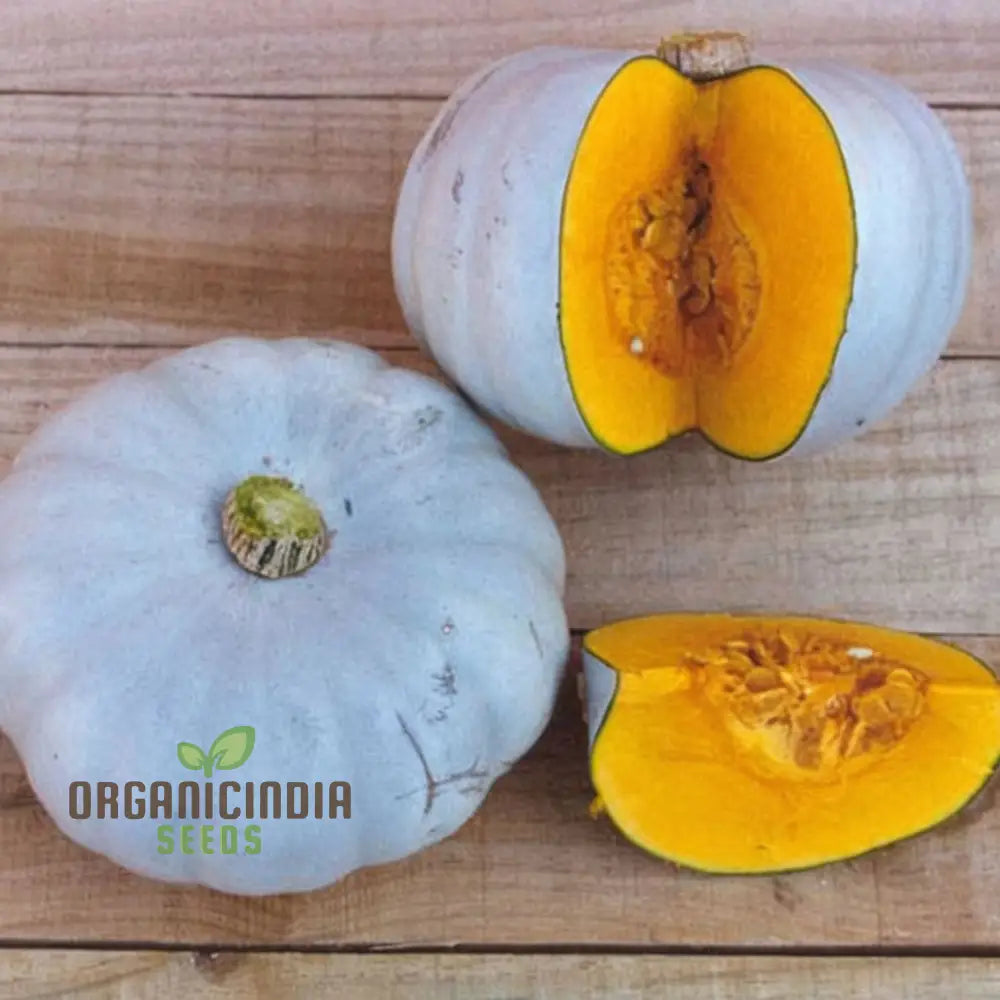 Crown Prince Squash Seeds - Royal Flavor And Texture For Your Culinary Creations Vegetable