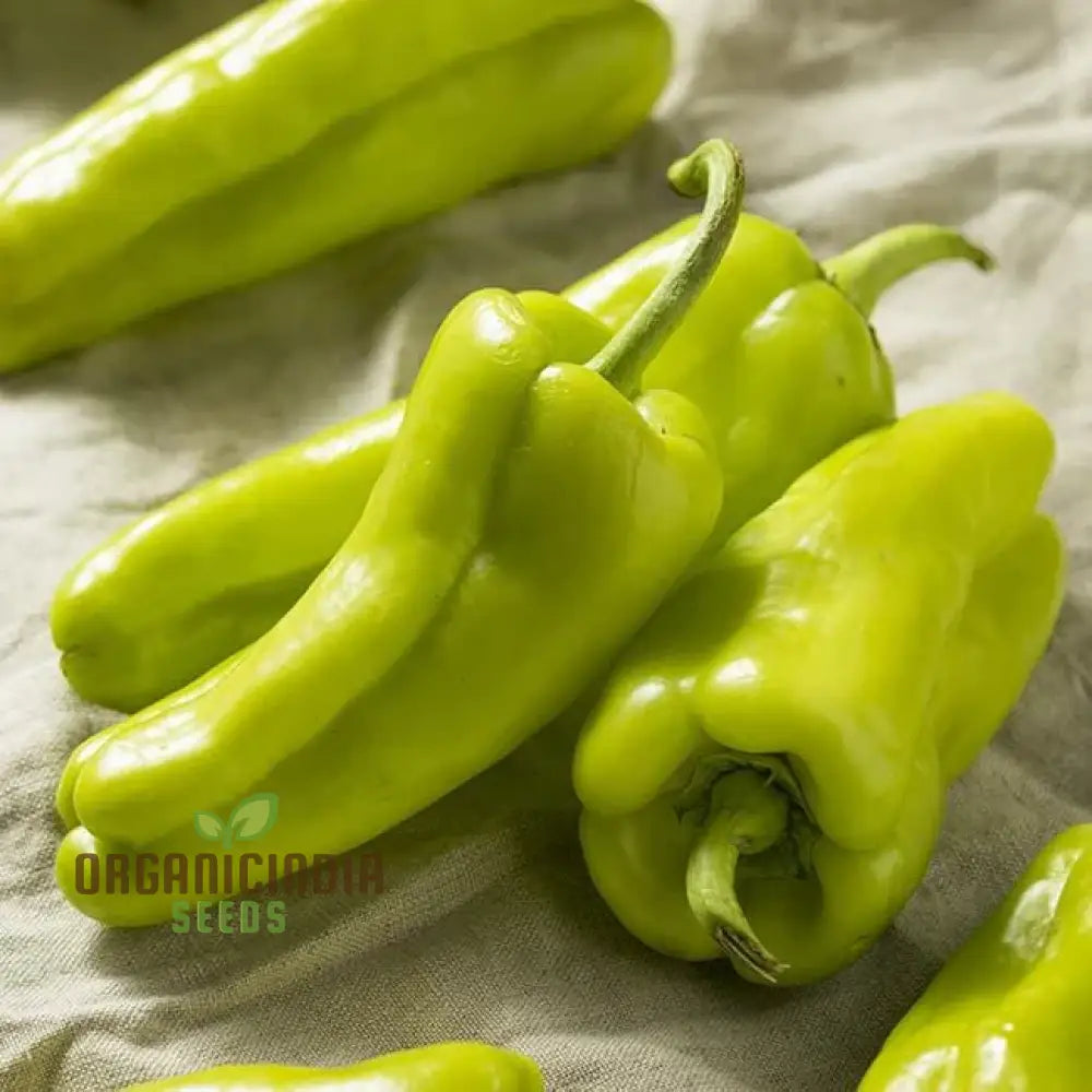 Cubanelle Sweet Pepper Seeds - Premium Quality For Gardening