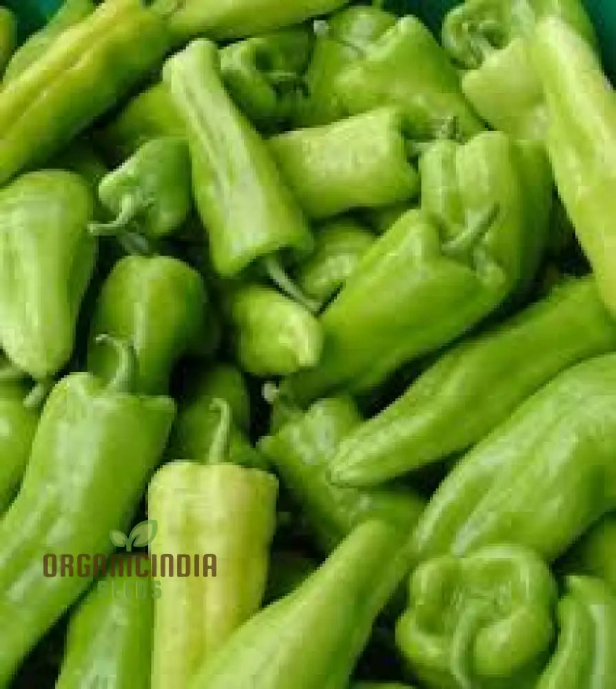 Cubanelle Sweet Pepper Seeds - Premium Quality For Gardening