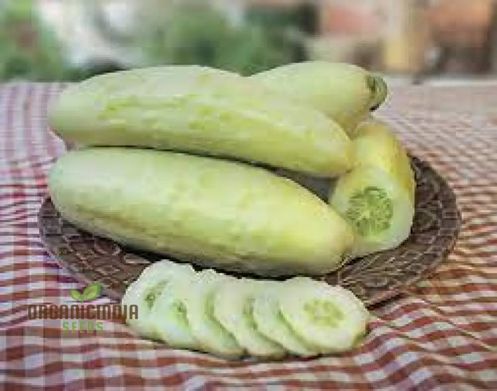 Cucumber Bush Seeds For Patio – Vegetable Planting (100 Pcs)