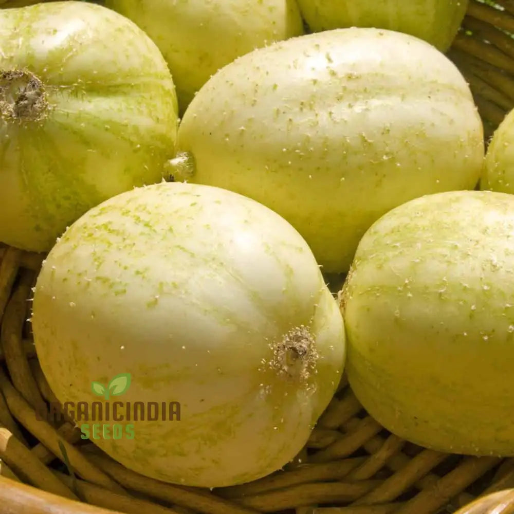 Cucumber (Outdoor) Crystal Apple Vegetable Seeds For Planting Crisp And Refreshing For Outdoor