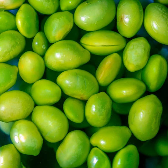 Midori Giant Edamame Soybean Seeds for Planting - 100 pcs - Vegetable Seeds