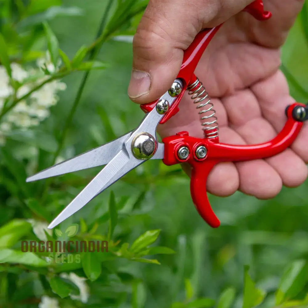 Ergo Snips By Organicindiaseeds Gardening Pruners