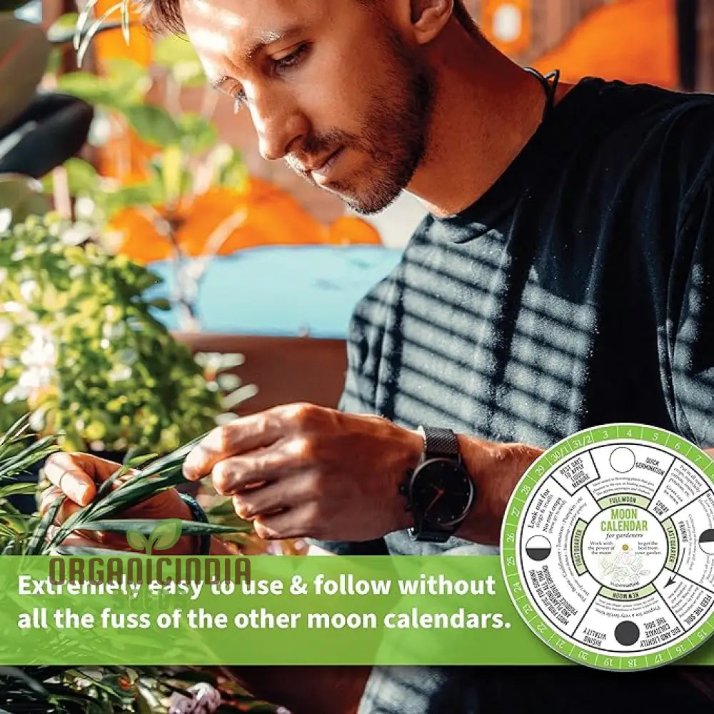 Gardener’s Moon Calendar: Master Gardening With Lunar Phases - Optimal Times To Sow Plant Prune &