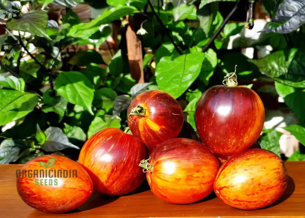 Gargamel Tomato Vegetable Seeds Rare Fines Striped-Rare Vegetable Seeds Nightshades