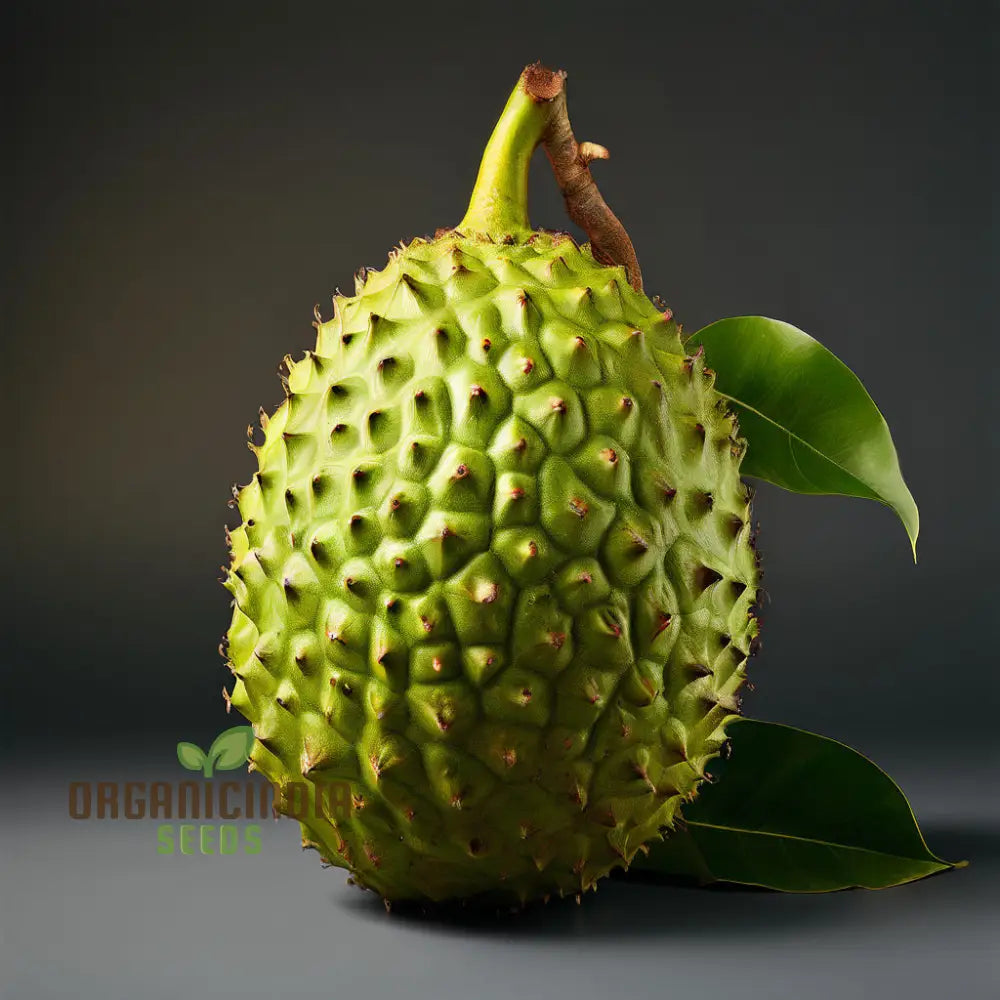 Giant Soursop Tropical Fruit Seeds - Grow Your Own Exquisite Lush Delights With Expert Planting And