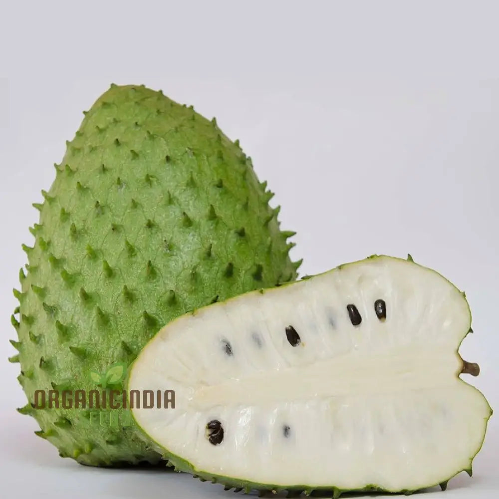 Giant Soursop Tropical Fruit Seeds - Grow Your Own Exquisite Lush Delights With Expert Planting And