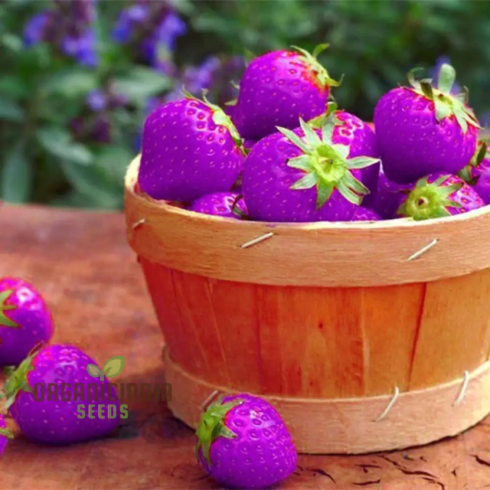 Giant Strawberry Seeds For Delicious Planting - 100 Pcs Fruit