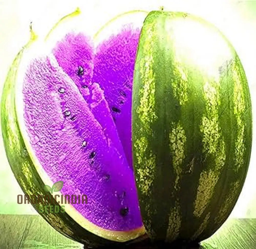 Giant Sweet Watermelon Seeds - 100 Pcs Fruit