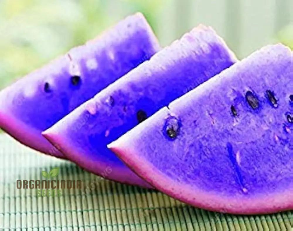 Giant Sweet Watermelon Seeds - 100 Pcs Fruit