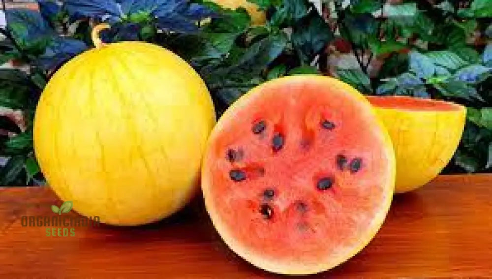 Golden Midget Watermelon Seeds For Planting: Exquisite Gardening Delight For Your Summer Harvest