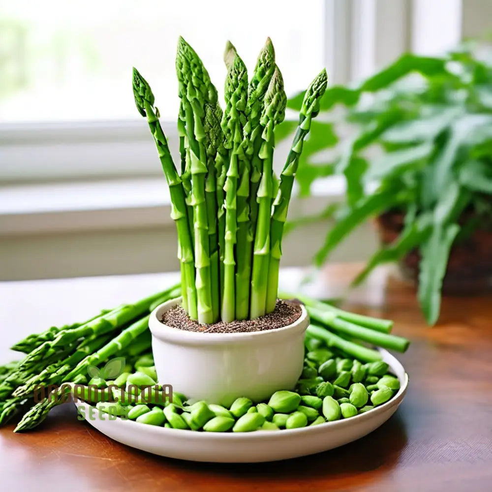 Green Asparagus Vegetable Seeds For Planting Grow Your Own Fresh At Home Leafy Greens