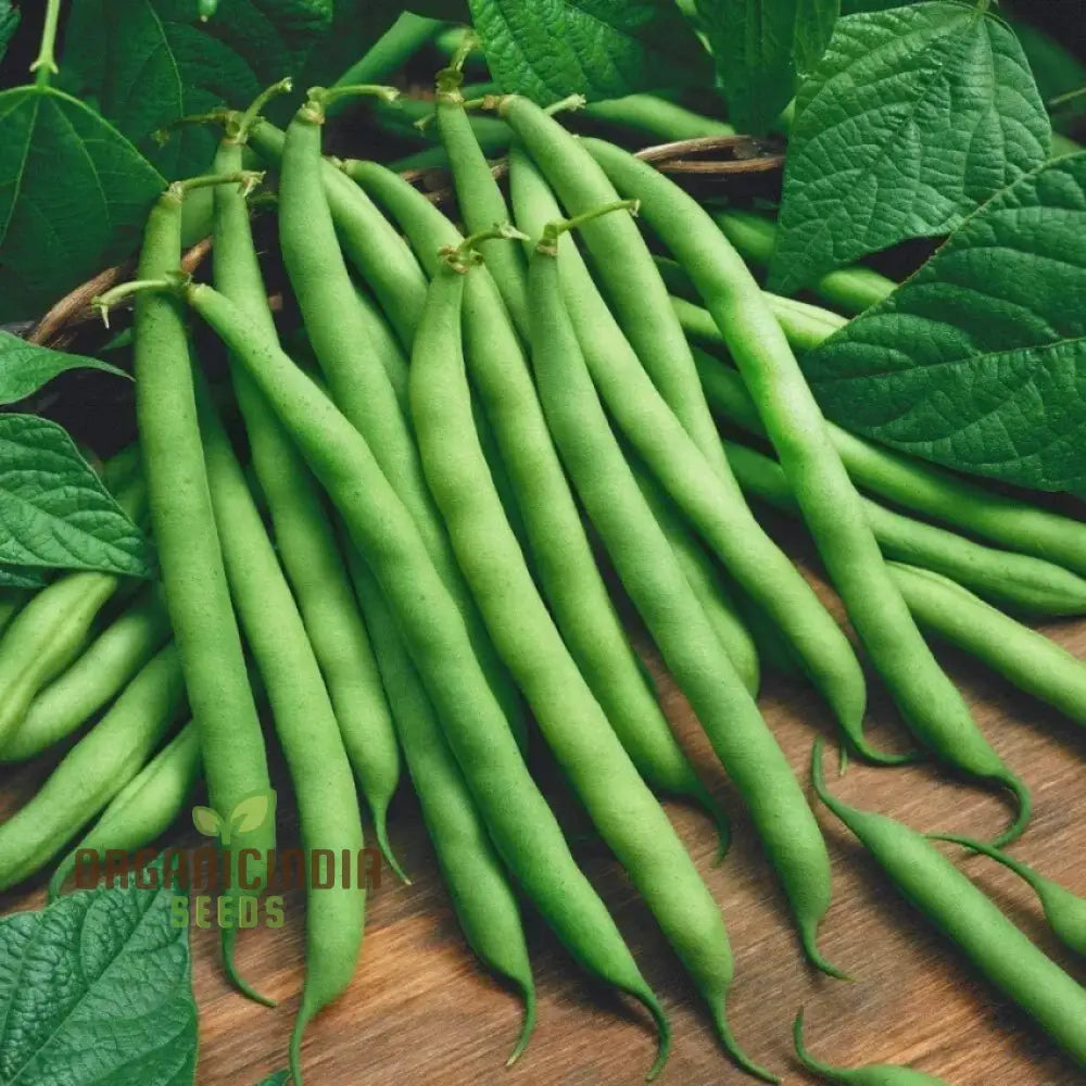 Green Bean Seeds For Planting Fresh And Flavorful Addition To Your Garden Legumes